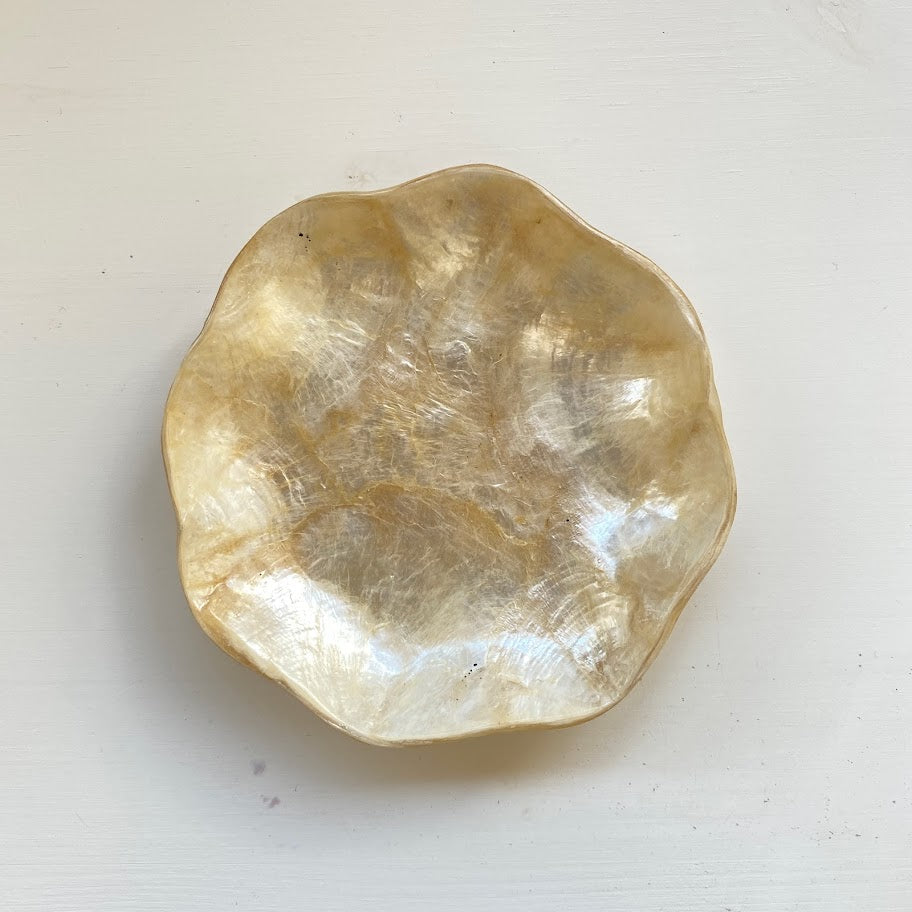schaaltje cadiz schelp bloem