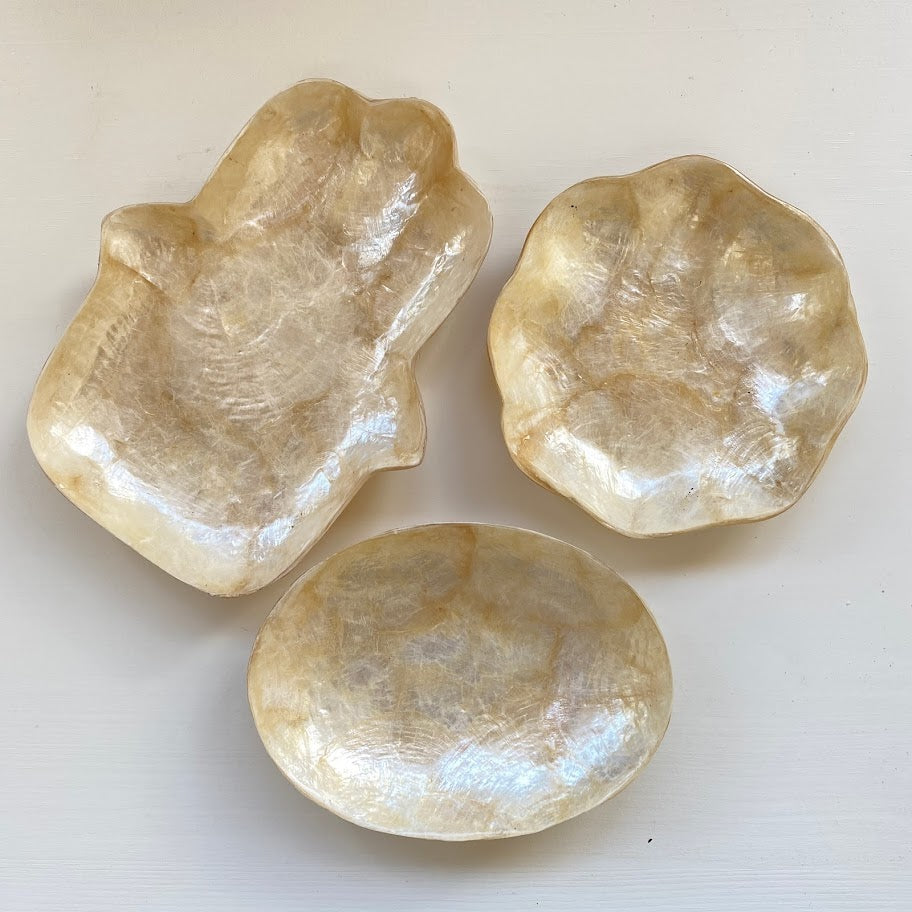 diverse schaaltjes cadiz schelp