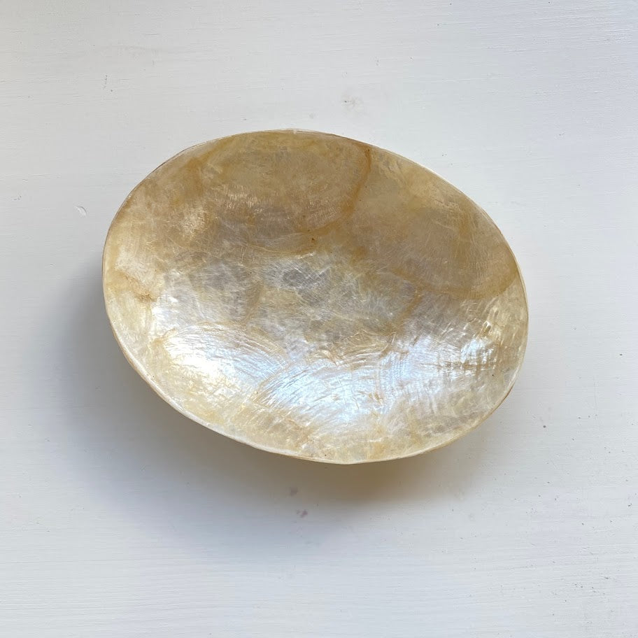 schaaltje cadiz schelp ovaal