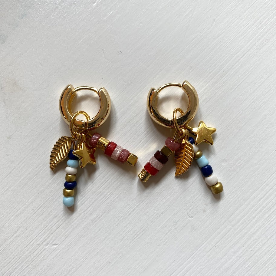 oorbel multicolour