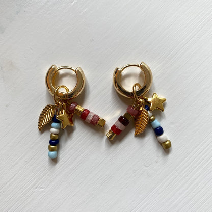 oorbel multicolour
